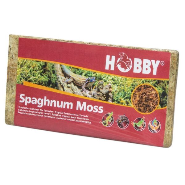 Hobby Spaghnum Moos 100gr. Ziegel ergibt 4