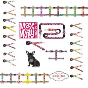 Max & Molly Hundegeschirr