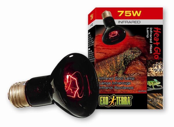 Exo Terra PT2142 Infrared Basking Spot Lamp - R20/75W