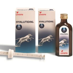 2x125ml Hyalutidin DC aniMedica Hyaluronsäure Chondroitinsulfat