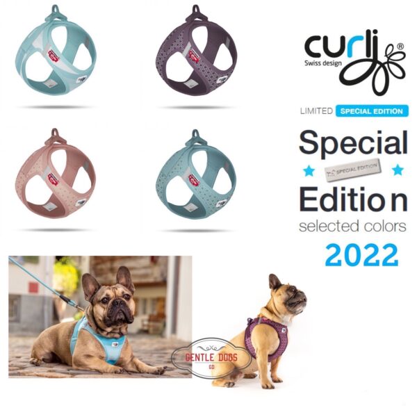 CURLI 2022 Neue SE Clasp Special Edition * gratis Versand*