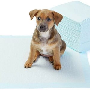 Basics Puppy Pads Hygieneunterlagen für Haustiere 56 x 56 cm Saugstark 50 Stück