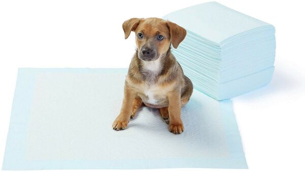 Basics Puppy Pads Hygieneunterlagen für Haustiere 56 x 56 cm Saugstark 50 Stück