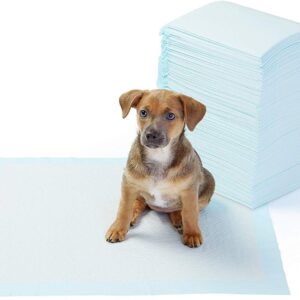 Basics Puppy Pads Trainingsunterlagen für Welpen Haustiere 56 x 56 cm 100er Pack