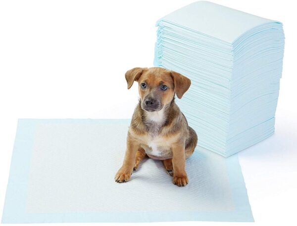Basics Puppy Pads Trainingsunterlagen für Welpen Haustiere 56 x 56 cm 100er Pack