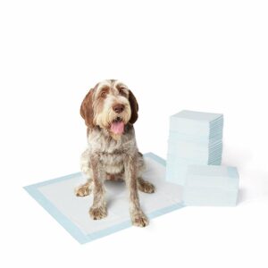 Basics Puppy Pads Hygieneunterlagen Haustiere Hunde Katzen 71 x 86 cm 60er Pack
