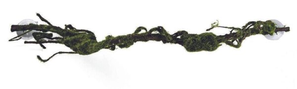 Hobby Liane M 80x6cm inkl. Saugnäpfe Wurzel für Reptilien Schlangen Terrarium
