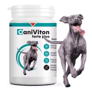 Vetoquinol Caniviton Forte plus 90 Tbl.